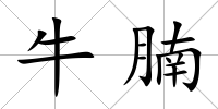 牛腩