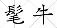 髦牛