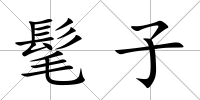 髦子