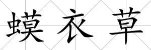 蟆衣草