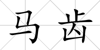 馬齒