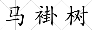 馬褂樹
