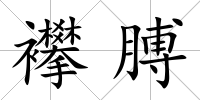 襻膊