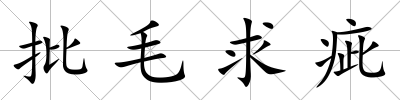 批毛求疵