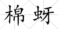 棉蚜
