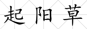 起陽(yáng)草