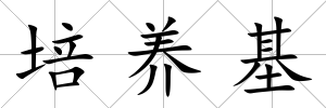 培養基
