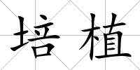培植