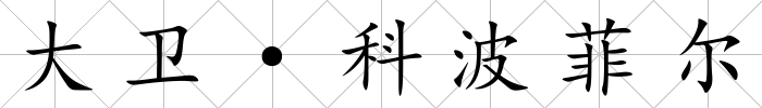 大衛·科波菲爾