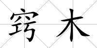 竅木