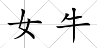 女牛