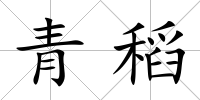 青稻