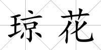瓊花