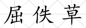 屈佚草