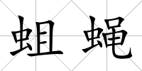 蛆蠅