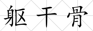軀干骨