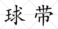 球帶