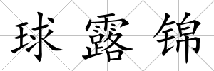 球露錦