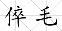 倅毛