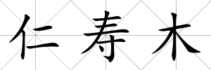 仁壽木