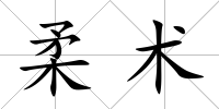 柔術(shù)