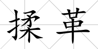 揉革