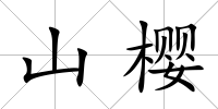 山櫻