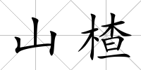 山楂