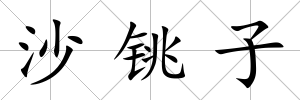 沙銚子