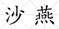 沙燕
