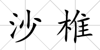 沙椎