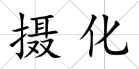 攝化