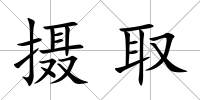 攝取