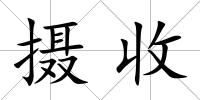 攝收