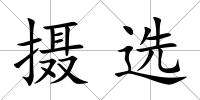 攝選