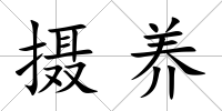攝養
