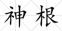 神根