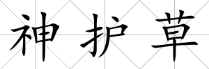 神護(hù)草