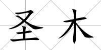 圣木