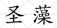 圣藻