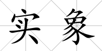 實(shí)象