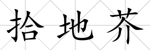拾地芥