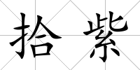 拾紫