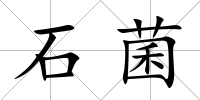 石菌