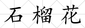 石榴花