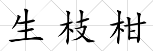 生枝柑