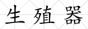 生殖器