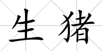 生豬