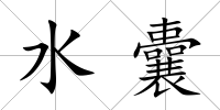 水囊