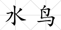 水鳥